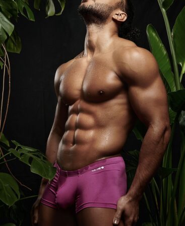 BOXER BASIC MC4121 MORA EN LECHE